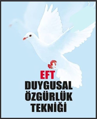 EFT Eğitimi